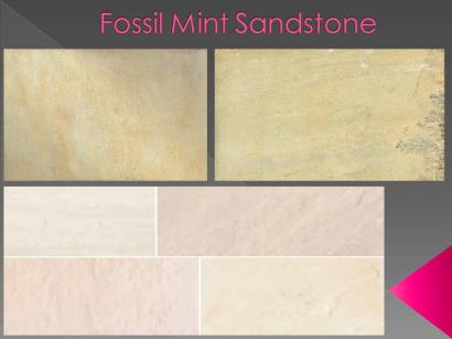 Fossil Mint Sandstone